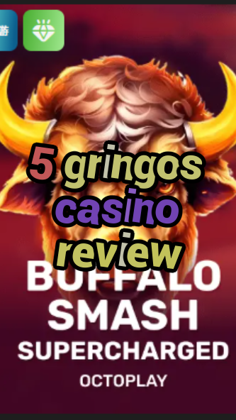 5 gringos casino review-w4cy2mdjlx2bf.com